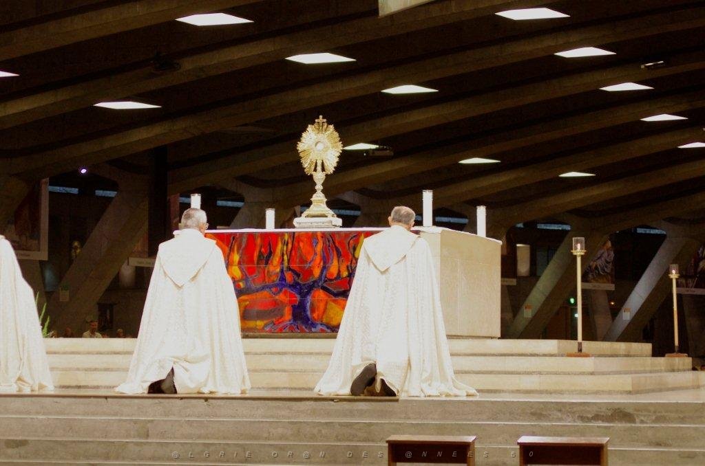 AOBR 2015 08 12 AU 16 LOURDES 5 PROCESSION DANS LA BASILIQUE SOUTERRAINE (14).jpg